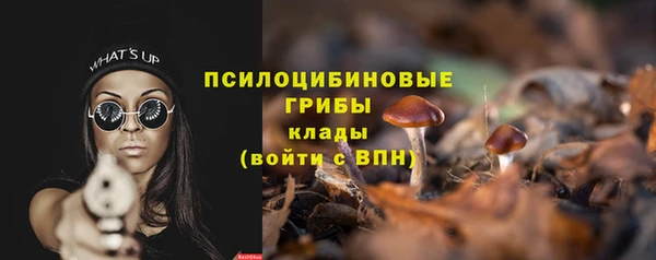 2c-b Горняк