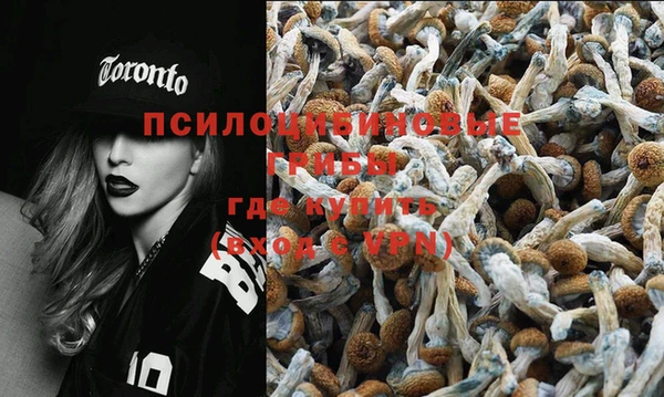 крисы Вяземский